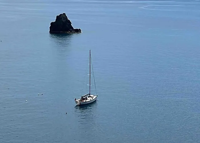 303 - フンシャル